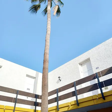 Papagayo Apartment Arona (Tenerife)